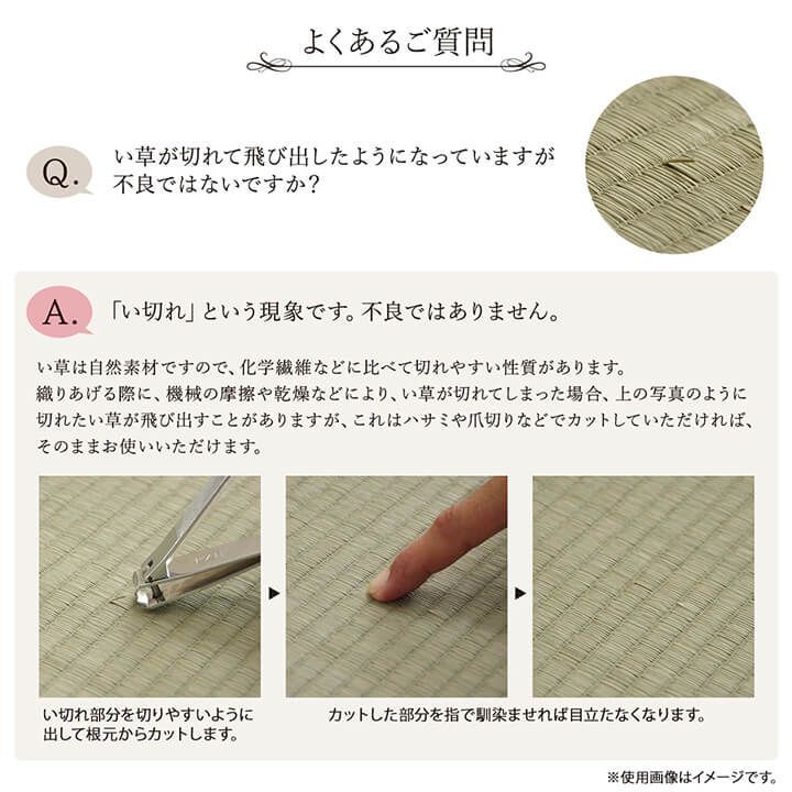 カーペット ソリッド