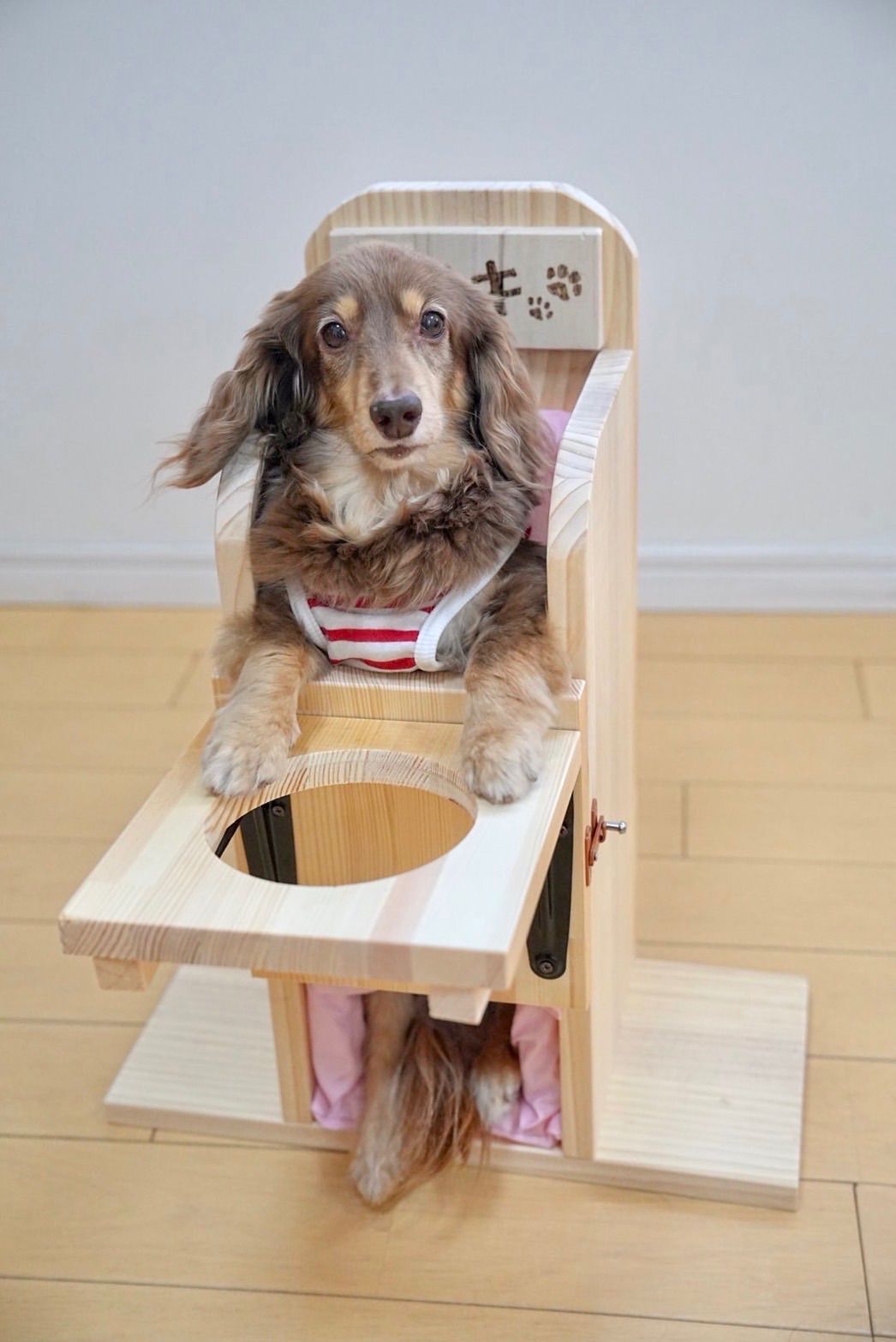 ベイリーチェア 小型・中型犬用 - メルカリ