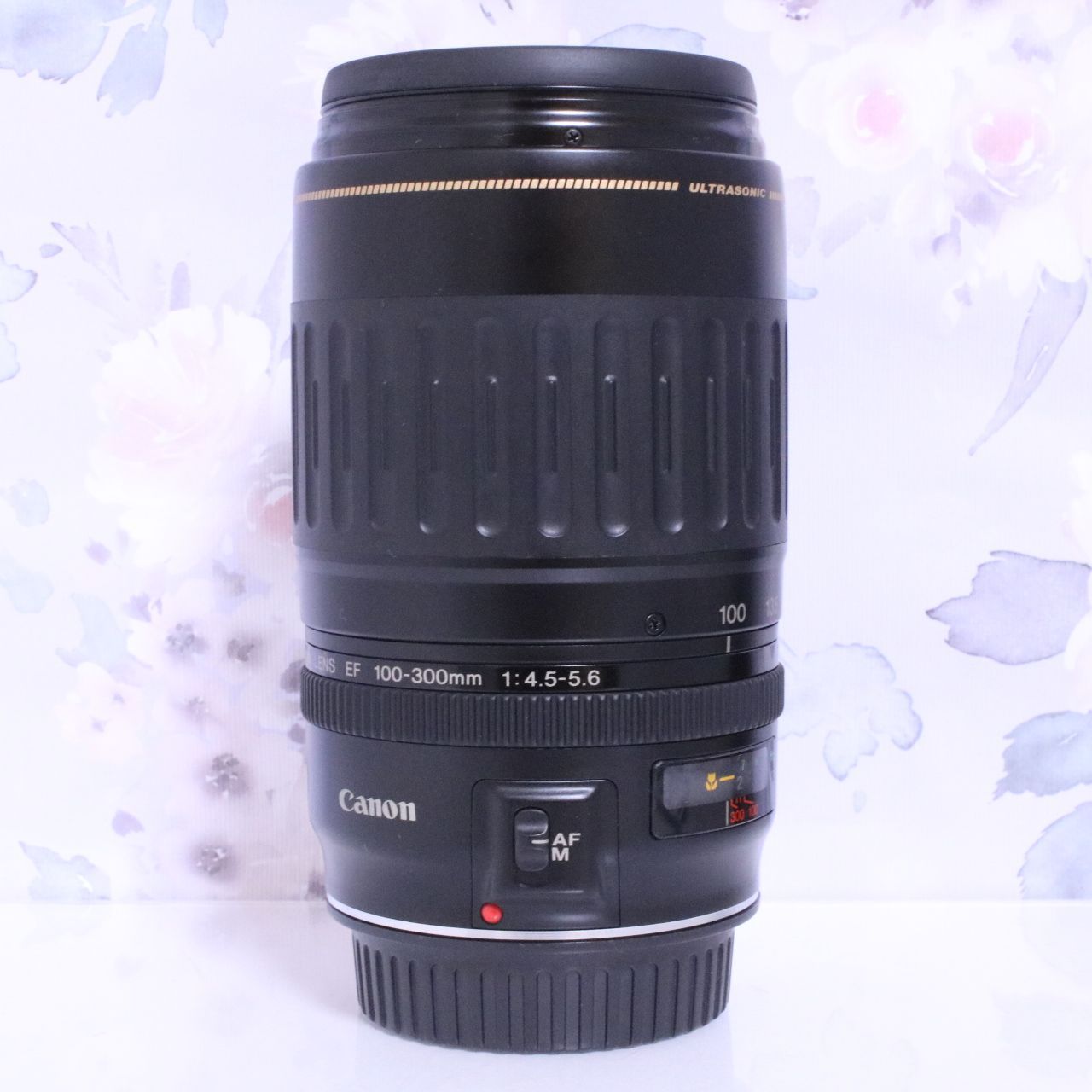 Canon キヤノン EFレンズ 100-300mm F4.5-5.6 USM☆イベントやスポーツ 