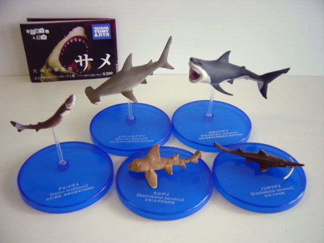 ♯Iti13AH不思議生物大百科大海の捕食者サメシークレット入全6種 ガシャポン ♯Iti13AH不思議生物大百科大海の捕食者サメシークレット入全6種