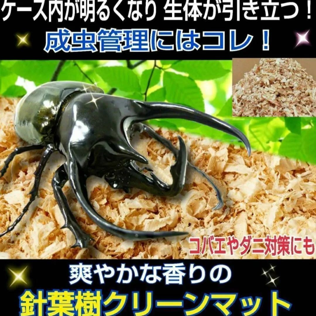 昆虫ゼリー すこやかゼリー80クワガタ・カブト・ハムスター・モモンガ・小動物C たのめ