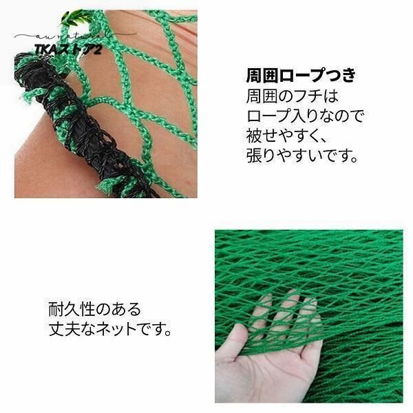 バックネット