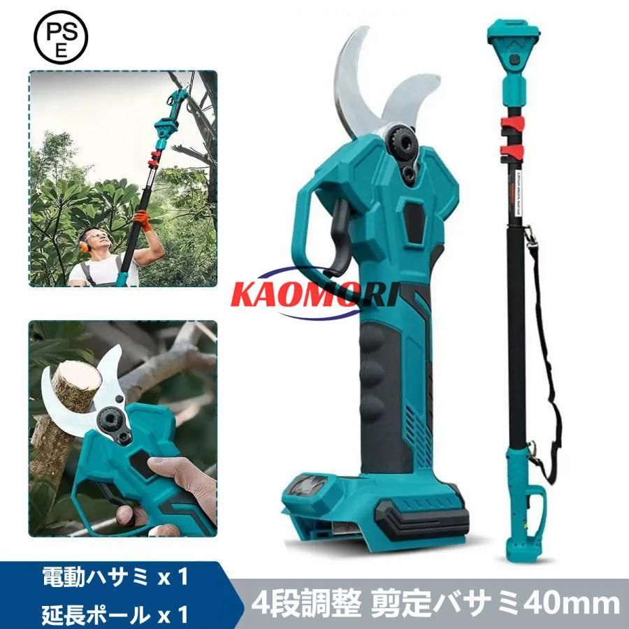 富貴蘭　万華鏡　1条 花は、終わってます 富貴蘭 万華鏡 S9 フウキラン フウラン : OKABE GREEN