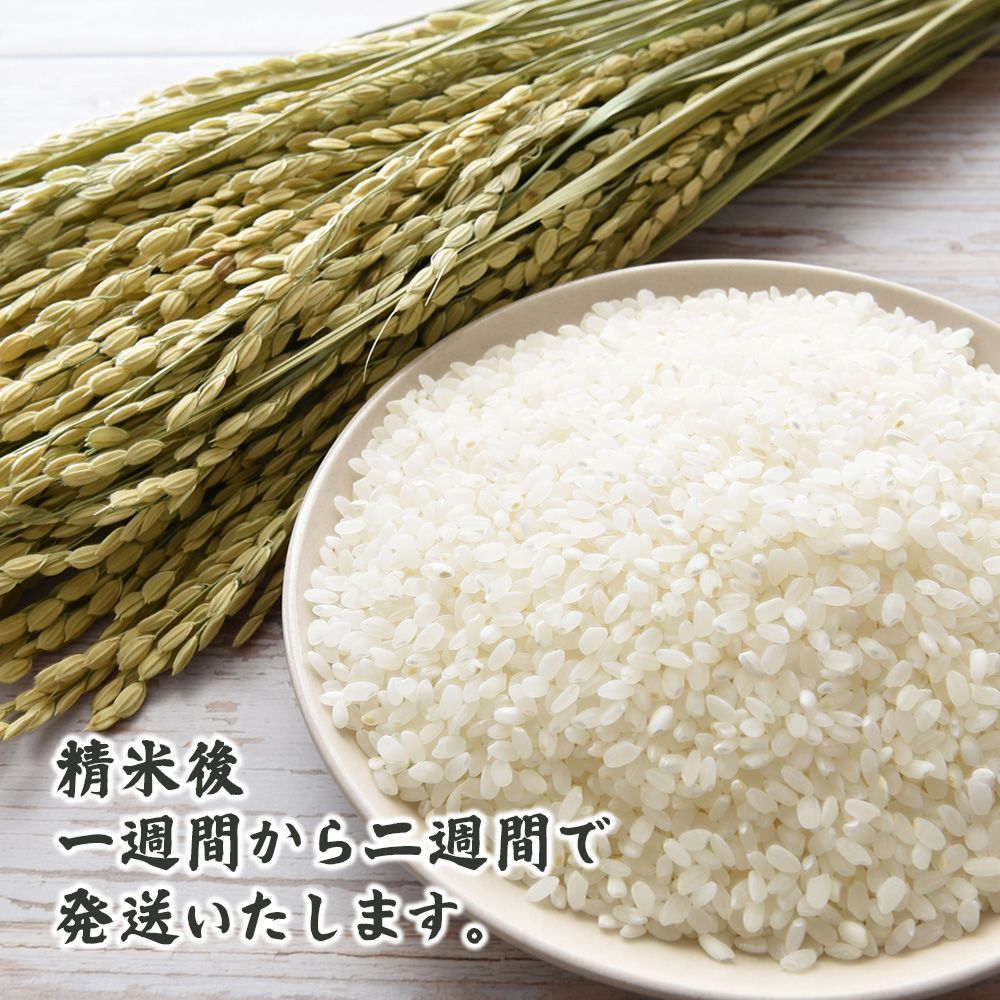 白米】国産 金俵 20kg(5kg×4袋) 国産 ブレンド米 お米 白米 米