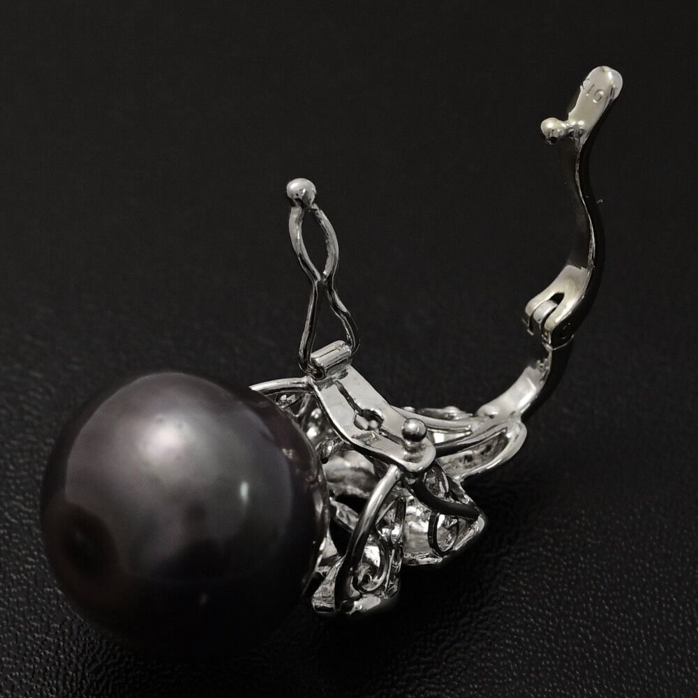 黒蝶真珠 クロチョウ