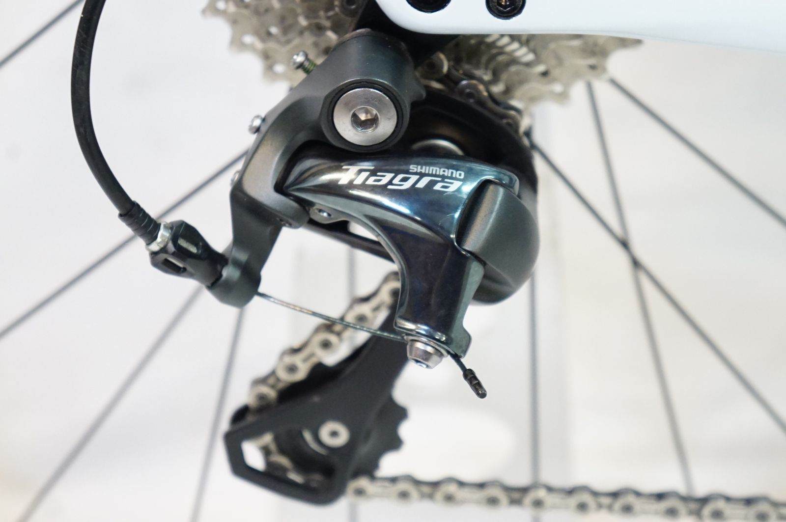 スペシャライズド