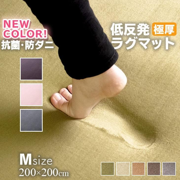 ラグ カーペット 厚手 低反発ラグ 厚 25mm 200×200 ラグマット オールシーズン 春 夏 防音 絨毯 おしゃれ 抗菌 防ダニ フリーリー