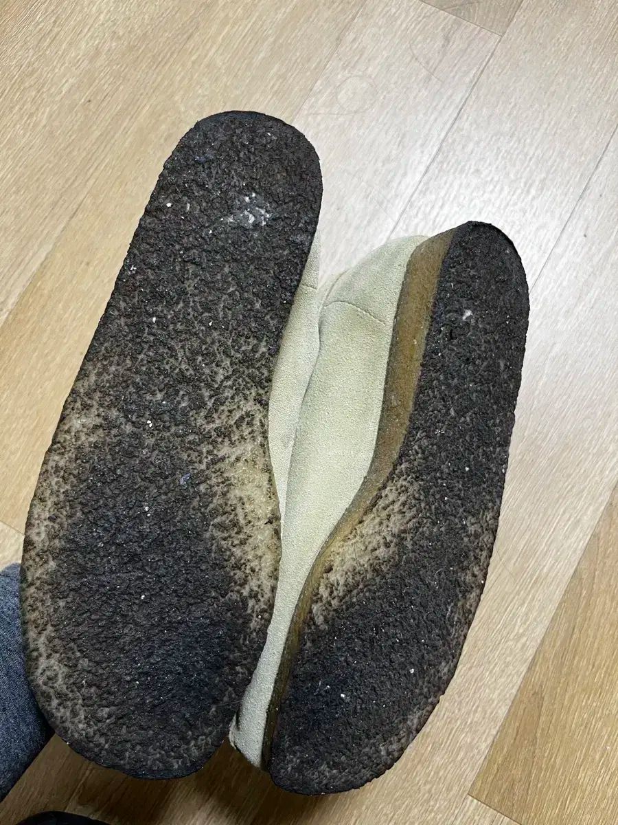 メイプル スウェード