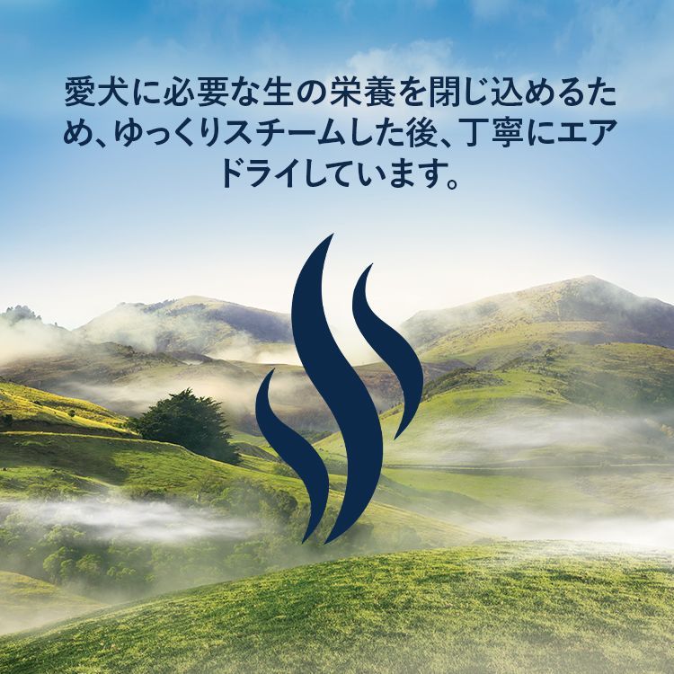 ジウィピーク スチーム-ドライ