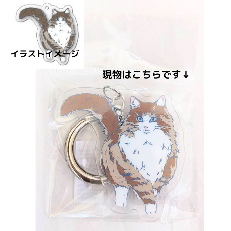 猫ミーム アクリルキーホルダー - アニメグッズ