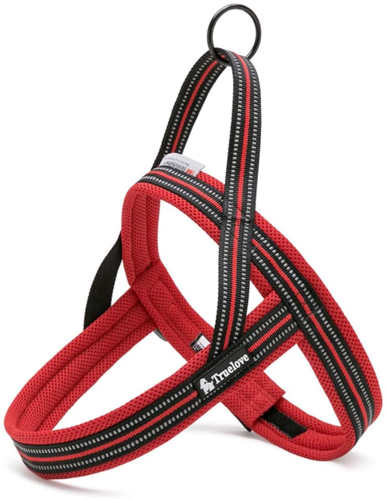 Navigator ナビゲーター beluga ベルーガ