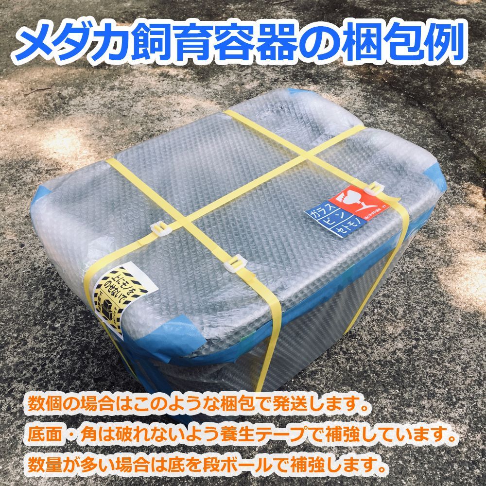 メダカ飼育ケース 36㍑x10個 色組み合わせ自由 オーバーフロー加工付 新仕様】メダカ飼育ケース 36㍑x1個【4色あり】オーバーフロー加工付