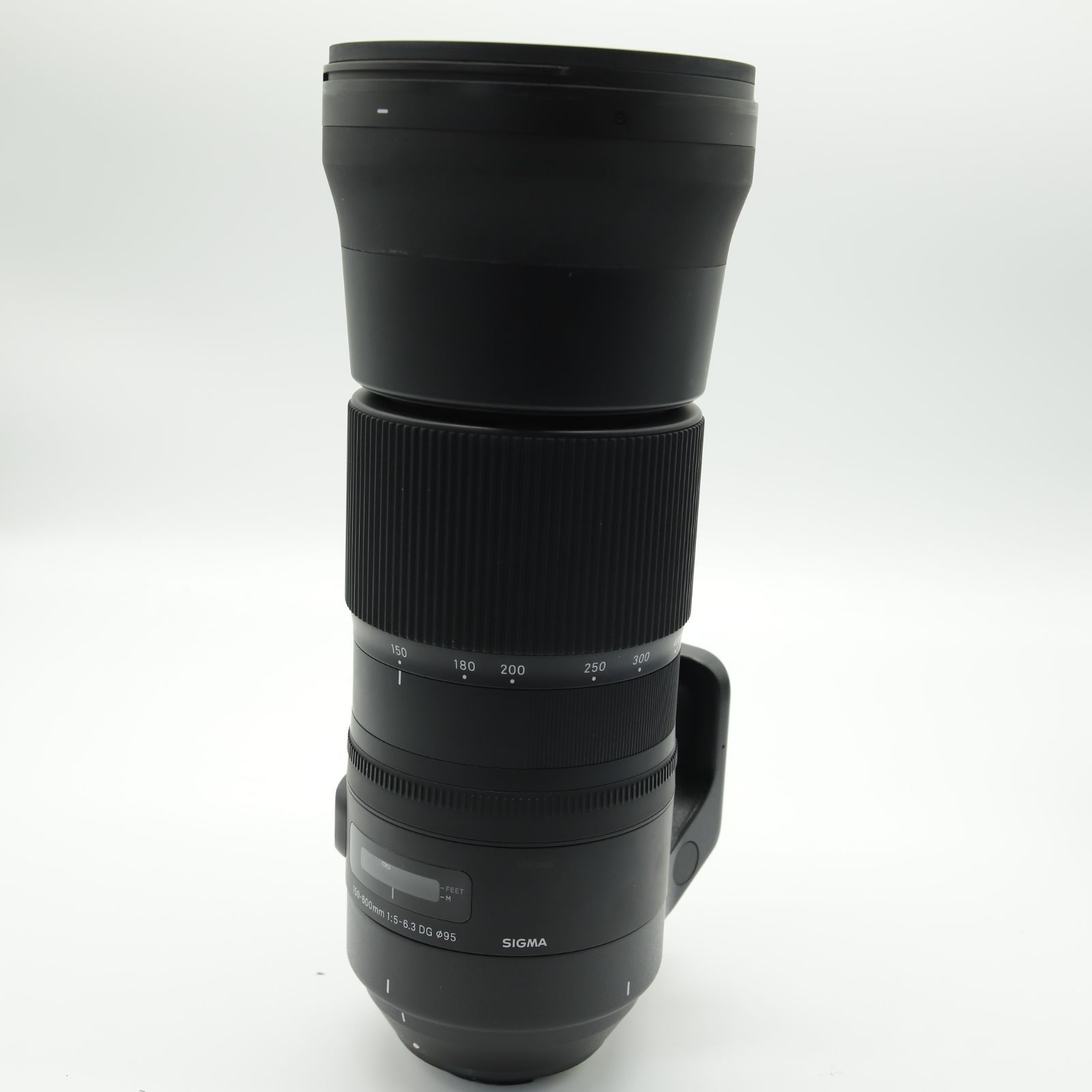 【作例あり】SIGMA超望遠　150-600mm Fマウント SIMGA 超望遠 150-600mm Fマウント SIGMA 超望遠レンズ 作例あり