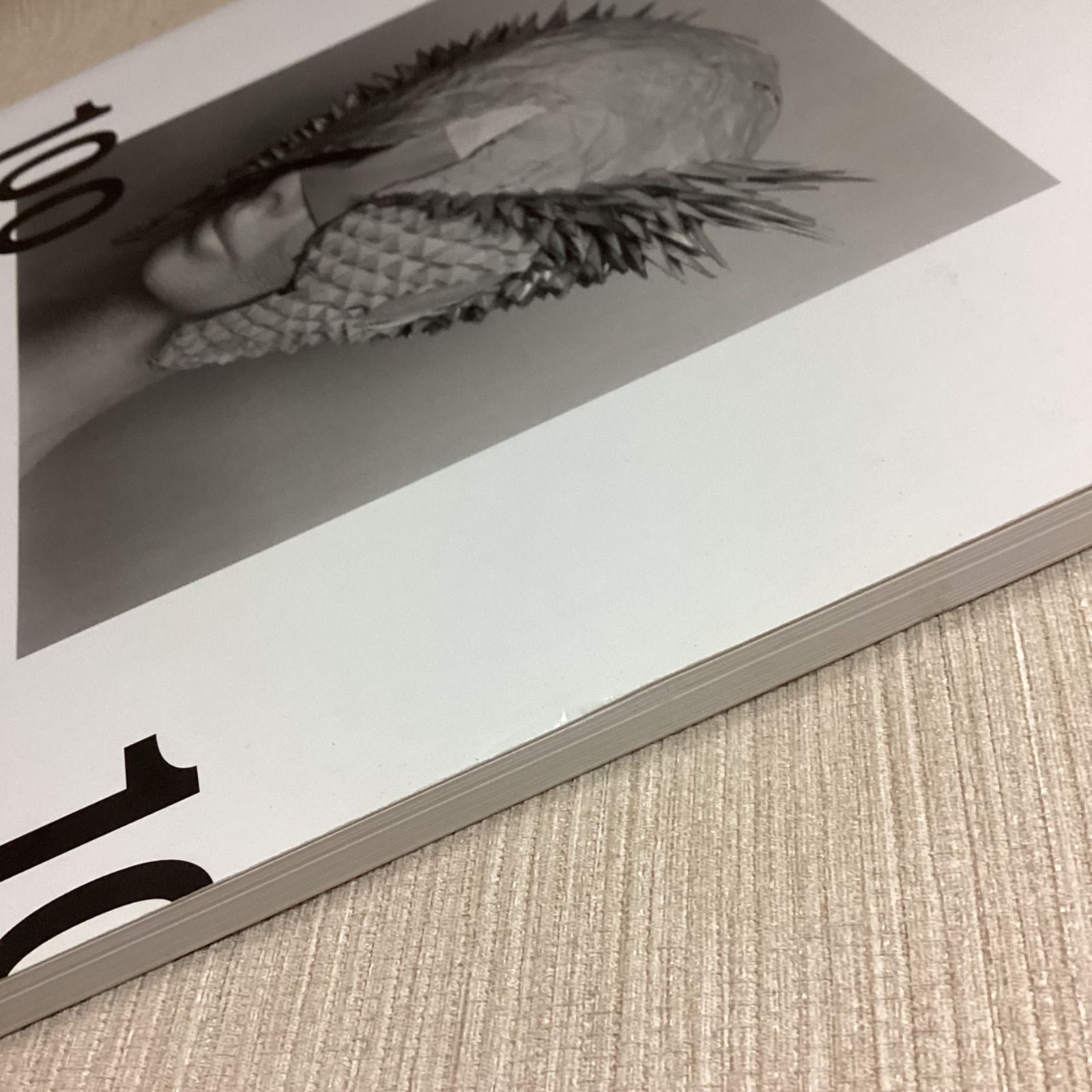 0 GASBOOK 加茂克也 KATSUYA 1 KAMO - HEADPIECES 29)」初版 “100 
