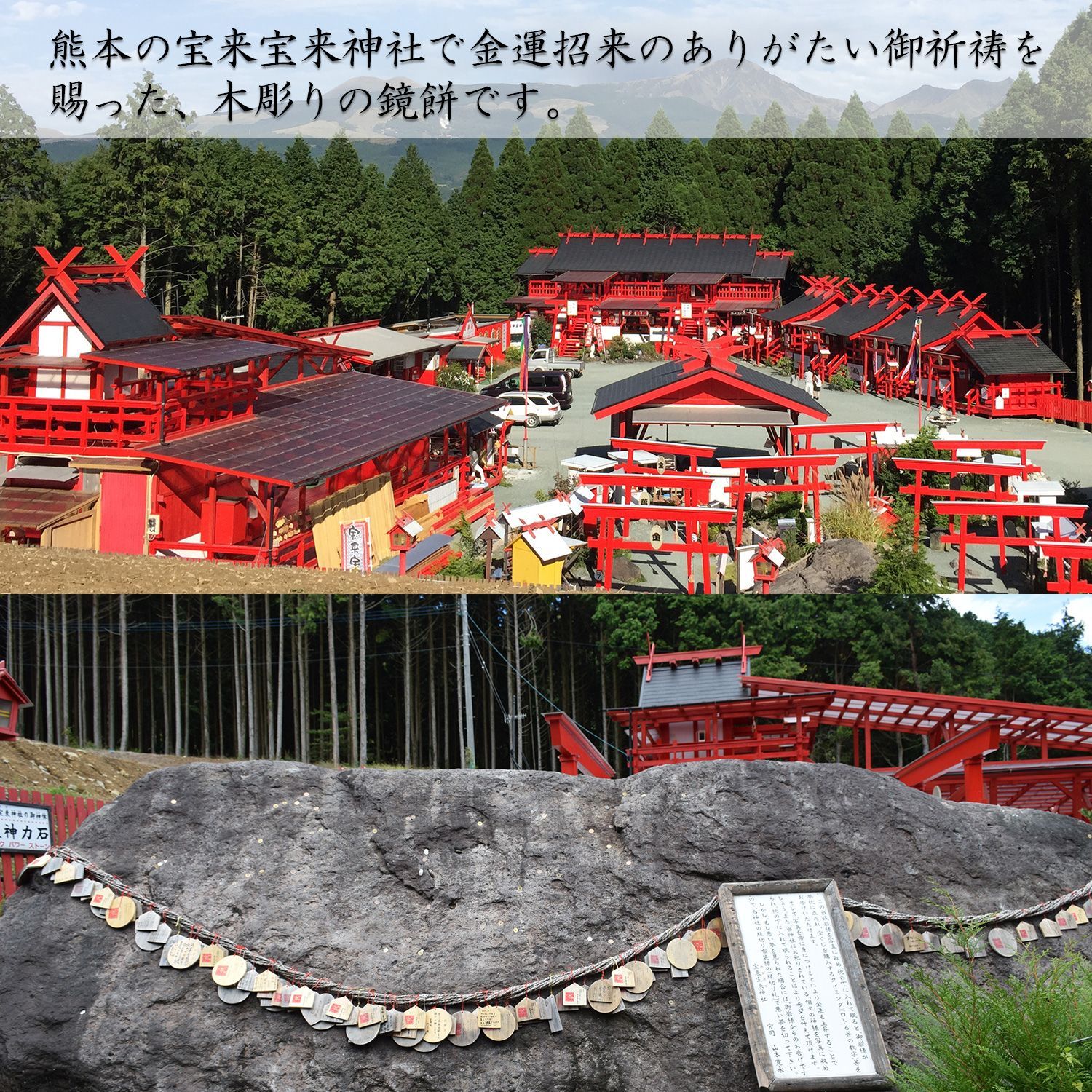 桧 ひのき