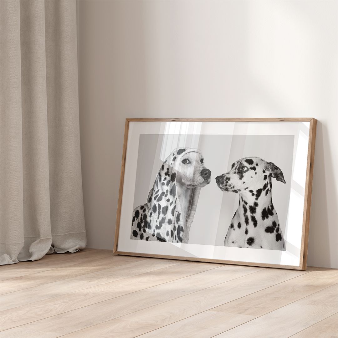 アートポスター ダルメシアン モノクロ 白黒 犬 写真 インテリア