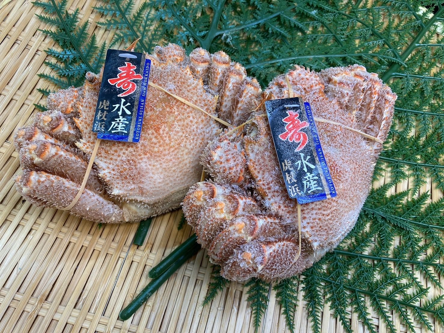 毛ガニ 2尾セット 約800g 1尾約350~400g 浜茹で ボイル冷凍 札幌中央卸売市場仕入れ 業務用 家庭用 ギフトにも