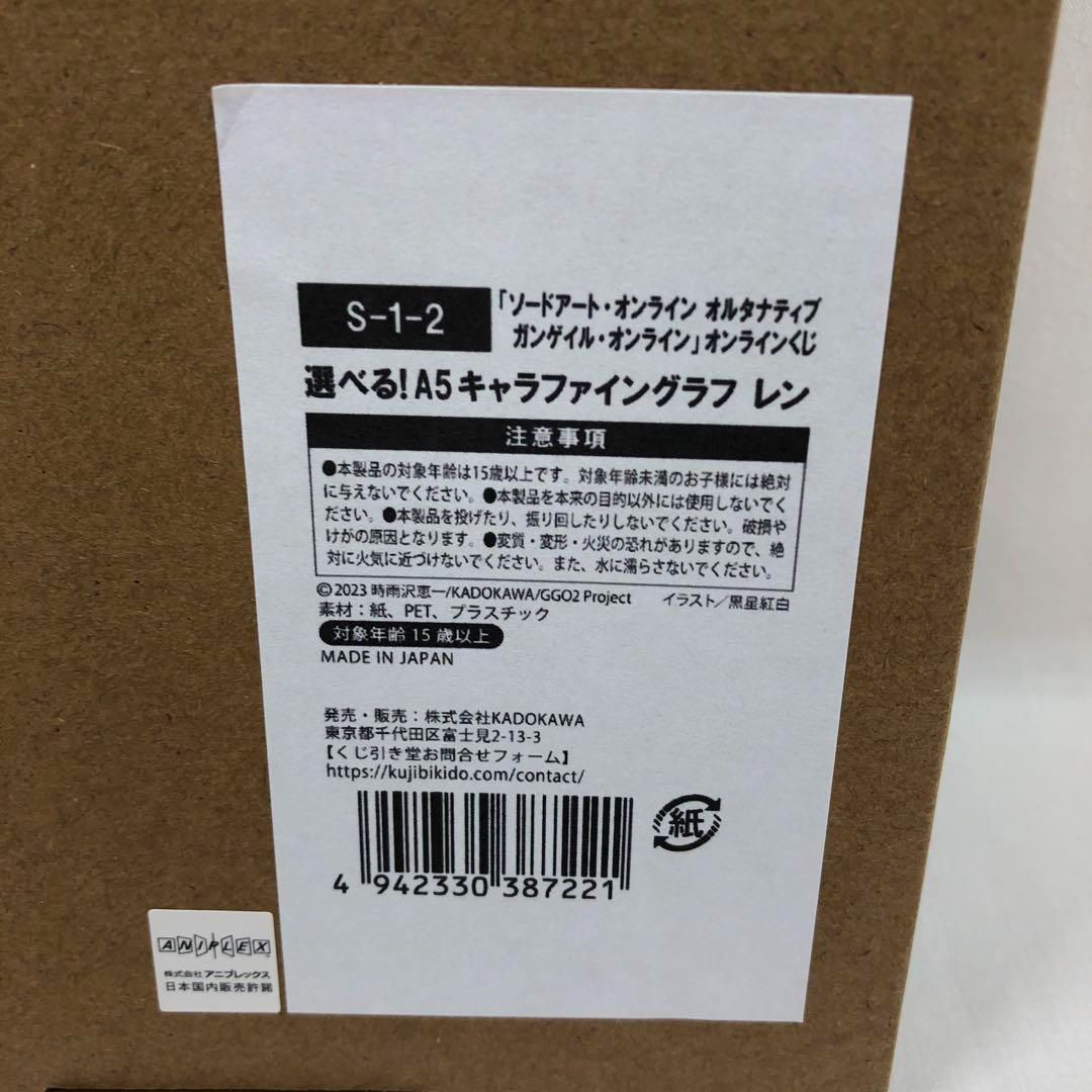 未使用 ガンゲイルオンライン A5キャラファイングラフ 30A8720