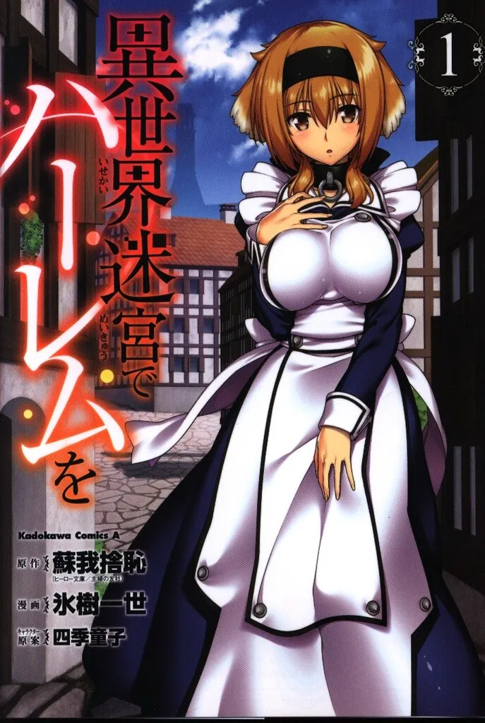 ▶︎ハーレムver【新品ケース】異世界迷宮でハーレムを DVD全巻セット