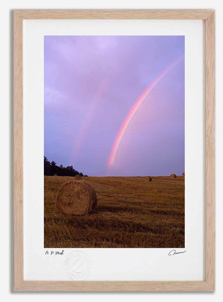 アートフォト 絵画 夕日の虹2 高橋真澄/インテリア 額入り 額装込 風景画 油絵 ポスター アート アートパネル リビング 玄関 プレゼント モダン アートフレーム 飾る Mサイズ おしゃれ 壁掛け