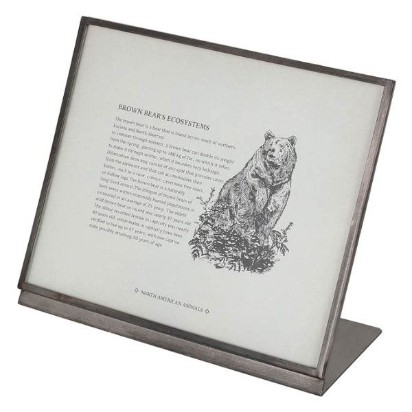 フレーム メタル 幅20.5cm ダルトン DULTON （ 写真立て フォト