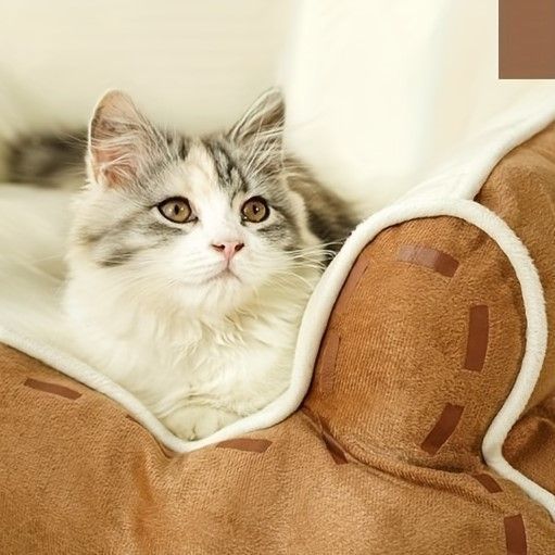 犬 猫
