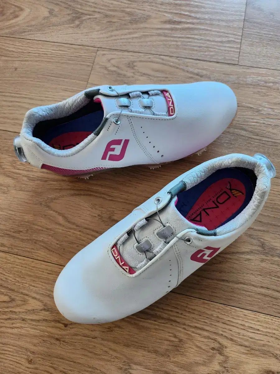  (純正新品) フットジョイ レディースゴルフシューズ 220 シューズ(男性用)