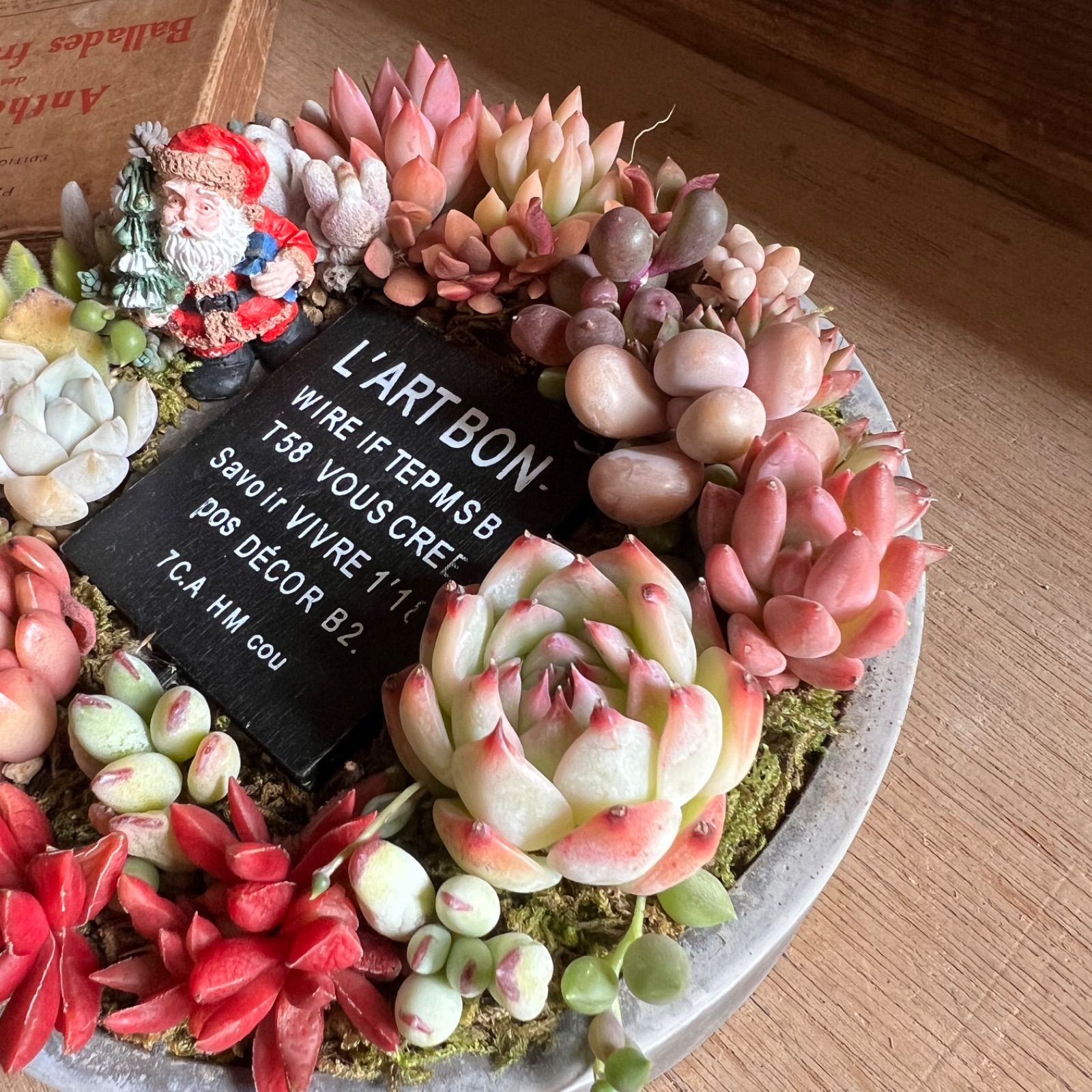 sweetbasket セメントリース カクトロコ 多肉植物寄せ植えに 中古品