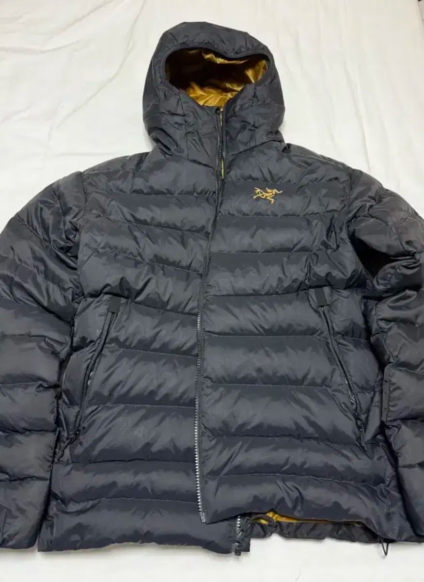 ARC TERYX アークテリクス トーリウム 24k M