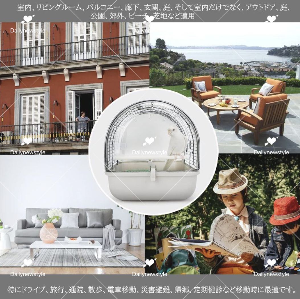 鳥の巣 外出