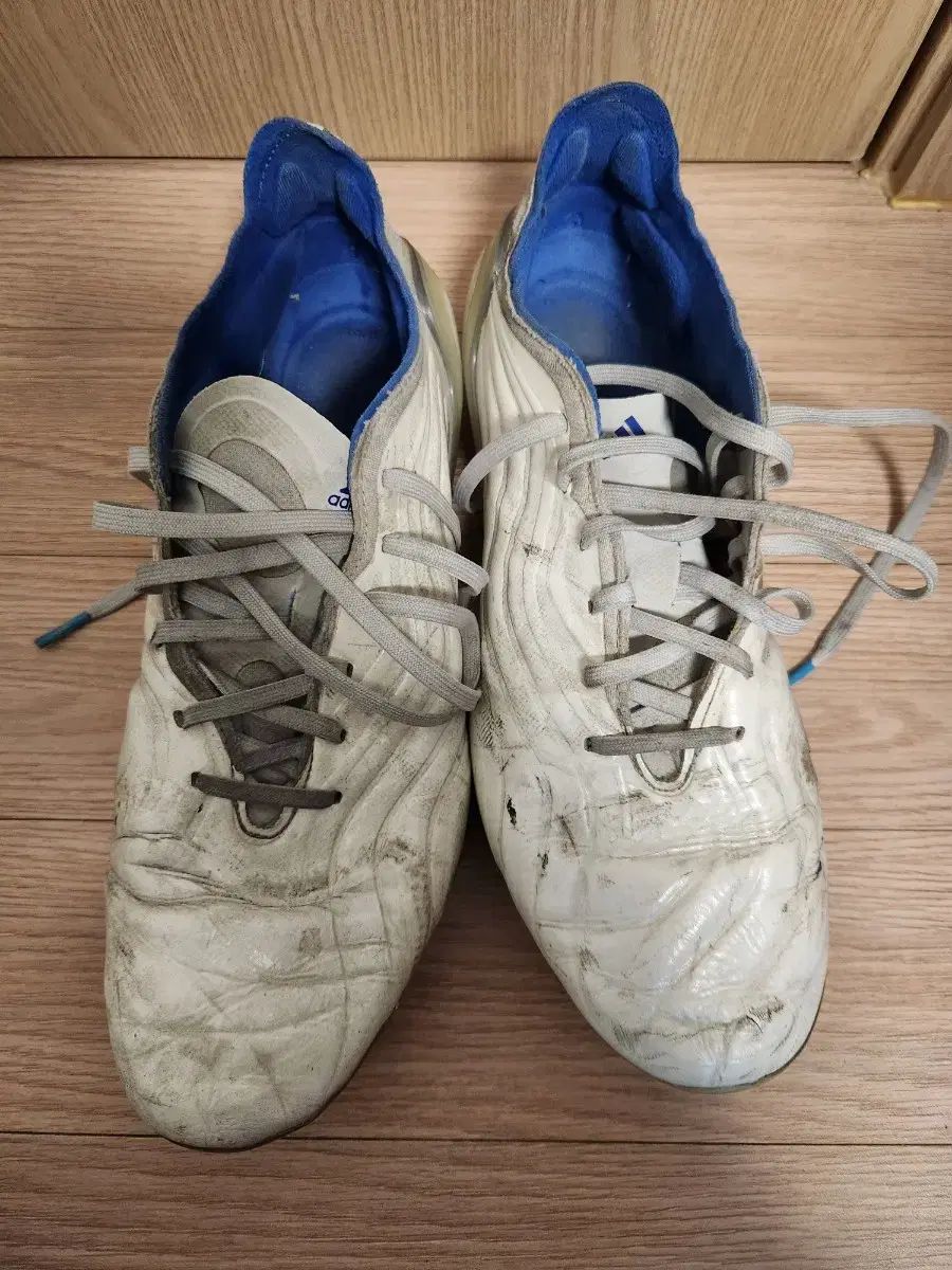adidas(アディダス) コパ 高品質 アスリート向け サッカーシューズ 280 サイズ