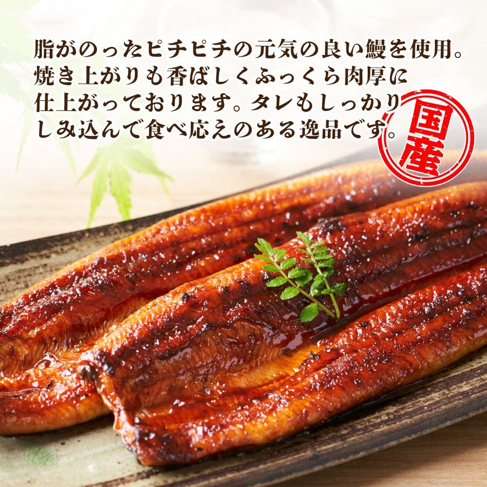 200g×3尾 セット