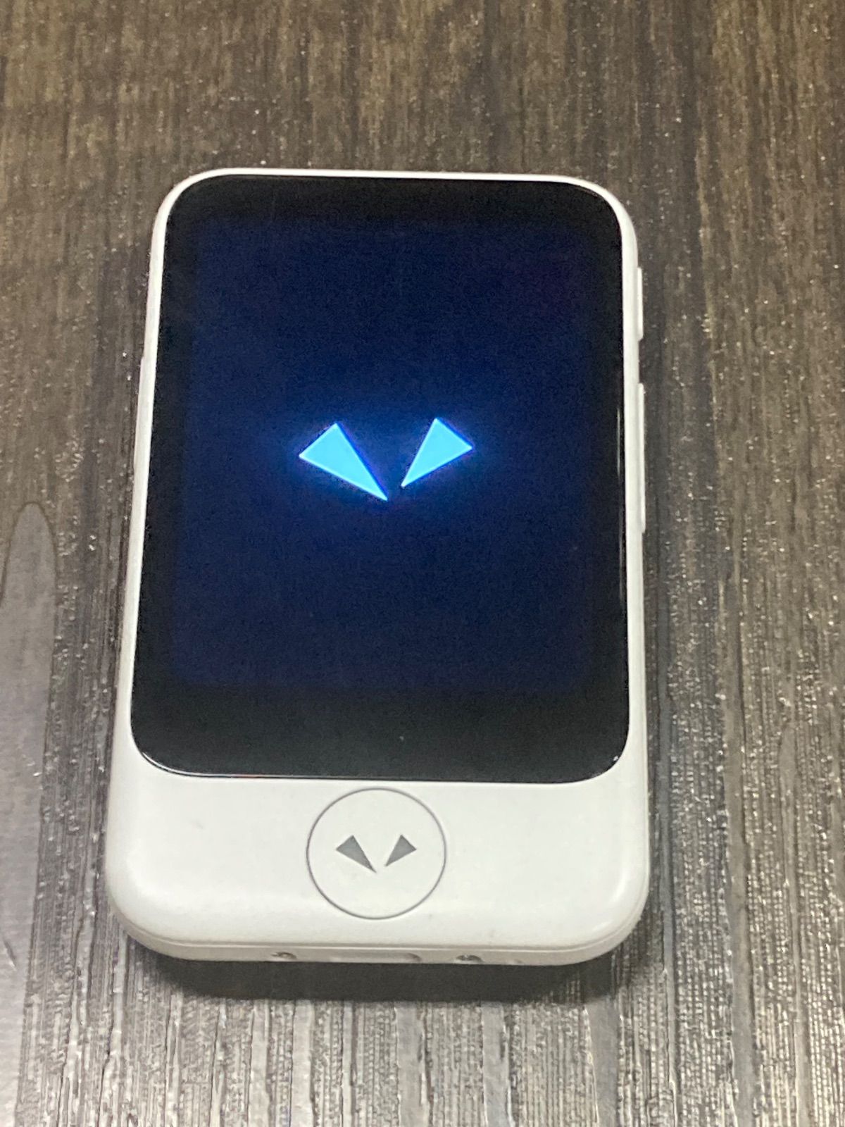 2027年4月12日夕方まで POCKETALK S2 ポケトークS2 グローバル通信2年 SIM内蔵モデル