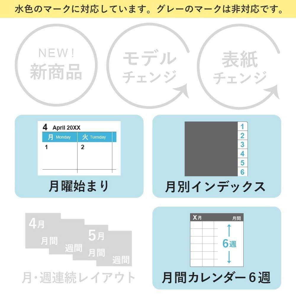 2025年1月始まり Bindex by NOLTY バイブルサイズ リフィール 月間ダイアリー9　カレンダータイプインデックス付[056]