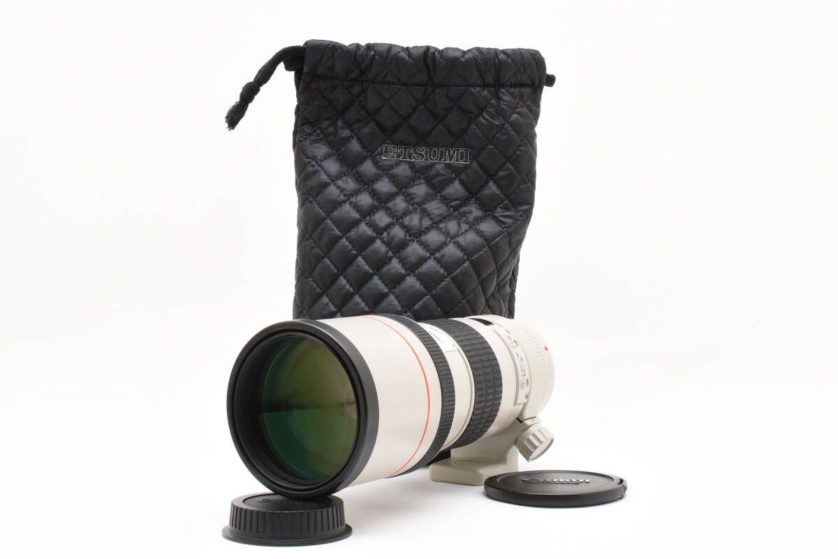 上品 キャノン CANON EF 300mm F4 L USM RR7181＃36