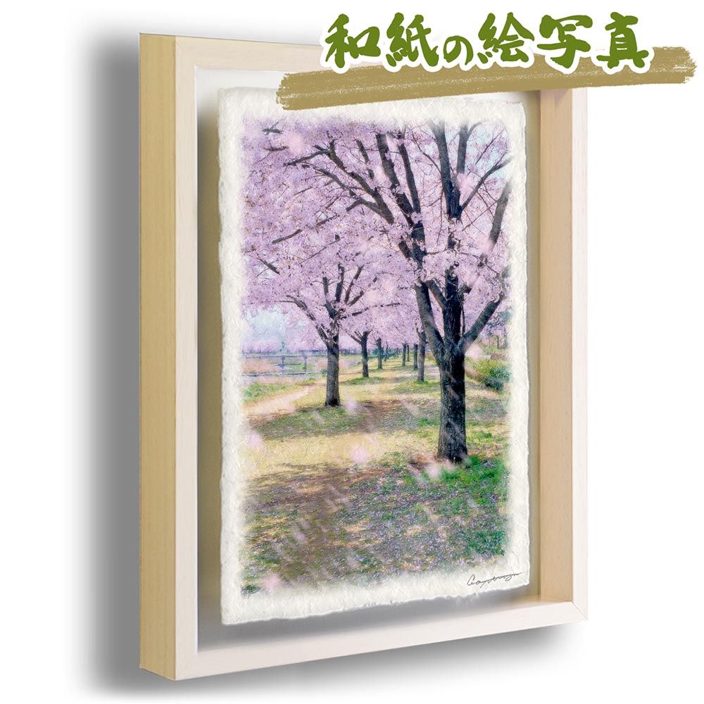 期間限定お値下げ！激レア！早い者勝ち！ ぼくごりら 小風さち こども