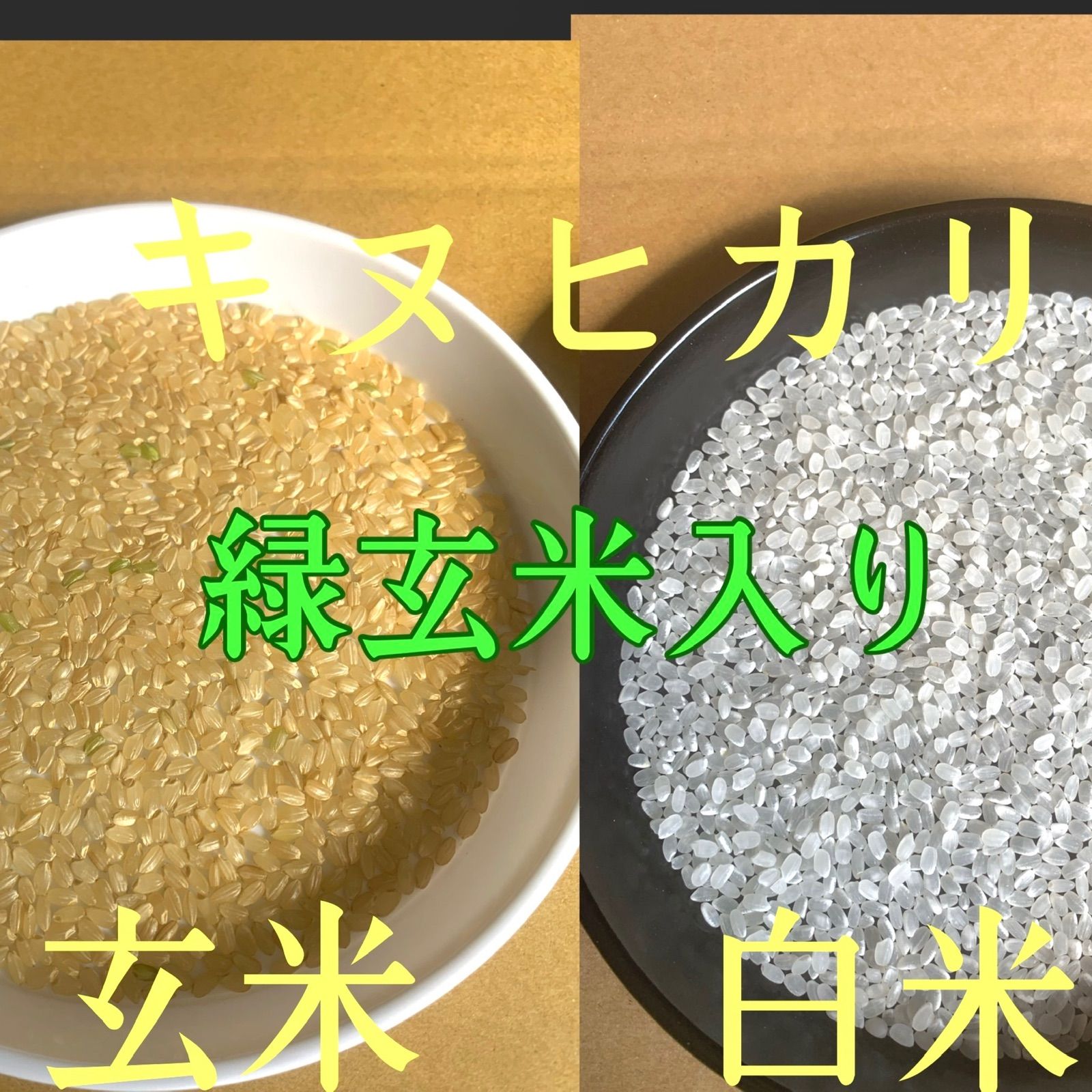 桜舞う季節 令和4年産 キヌヒカリ 新米 玄米 20キロ 淡路島産 20kg