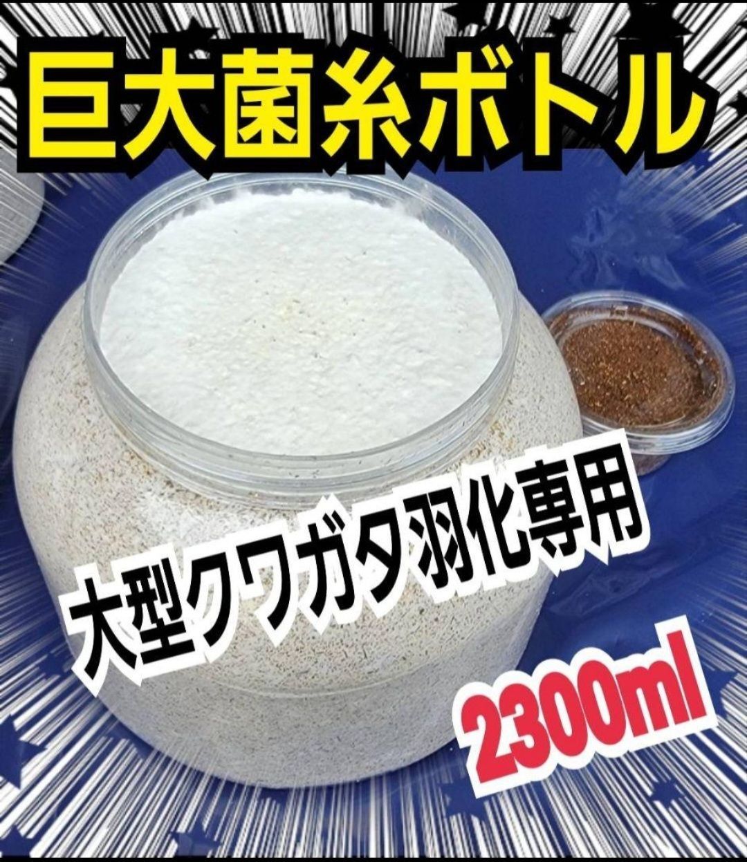 大型クワガタ羽化専用☆特大2300ml菌糸瓶【3本】ギラファ、外産ヒラタ