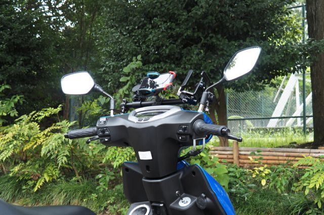 高級品種 インドネシア多肉 ブラックプリンス錦 ベビ付 繁殖苗 抜苗 第