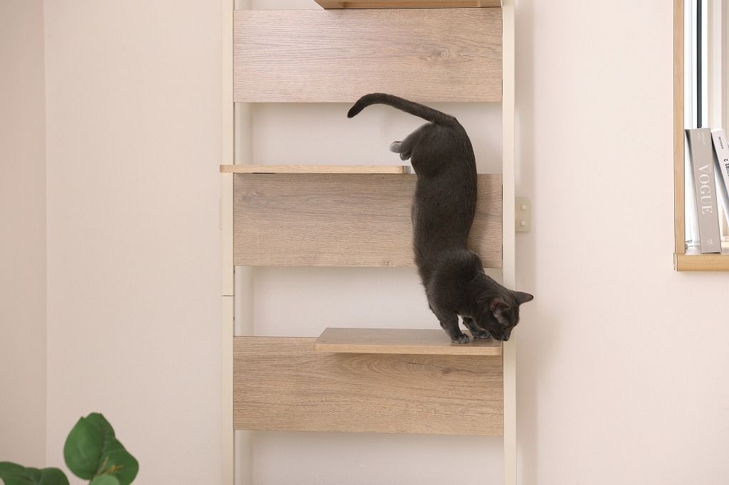 5段 幅約68.1×奥行約30.4×高さ約208.5〜278.4cm