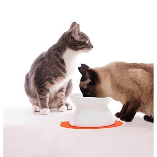 ペールピンク 猫