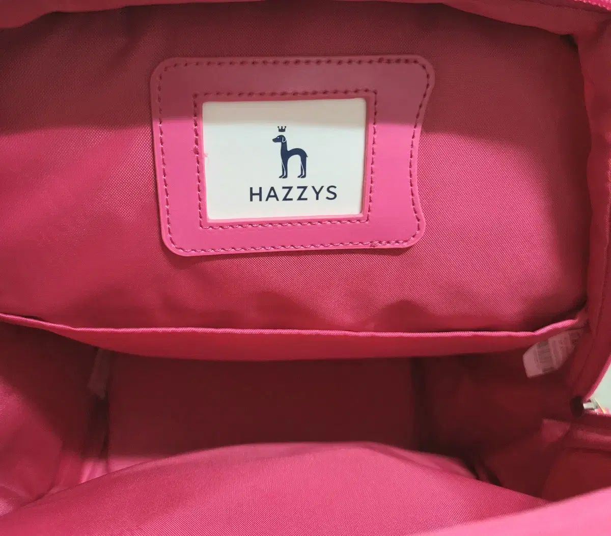 HAZZYS へジス