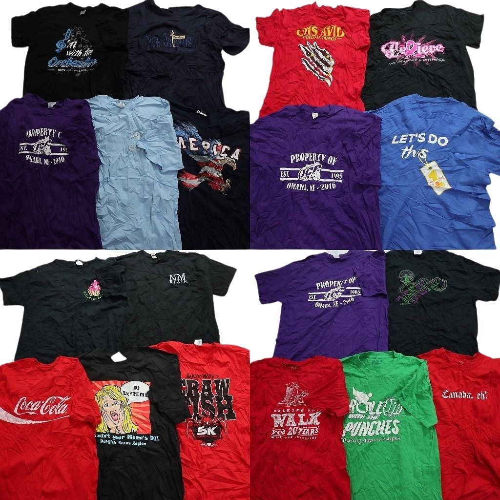 古着卸 まとめ売り カラーmix プリント 半袖Tシャツ 19枚セット (メンズ  ) イラスト ロゴ ワンポイント アニマル コカ・コーラ MS5729