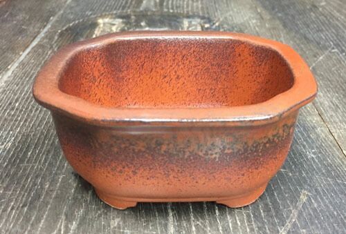 文山 3.5号4点セット 朱泥窯変 さつき鉢 箱入 和風 植木鉢