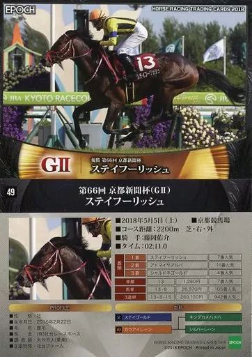 馬術　総合鞍 乗馬用鞍(総合鞍)本革ブラウン 乗馬 総合鞍