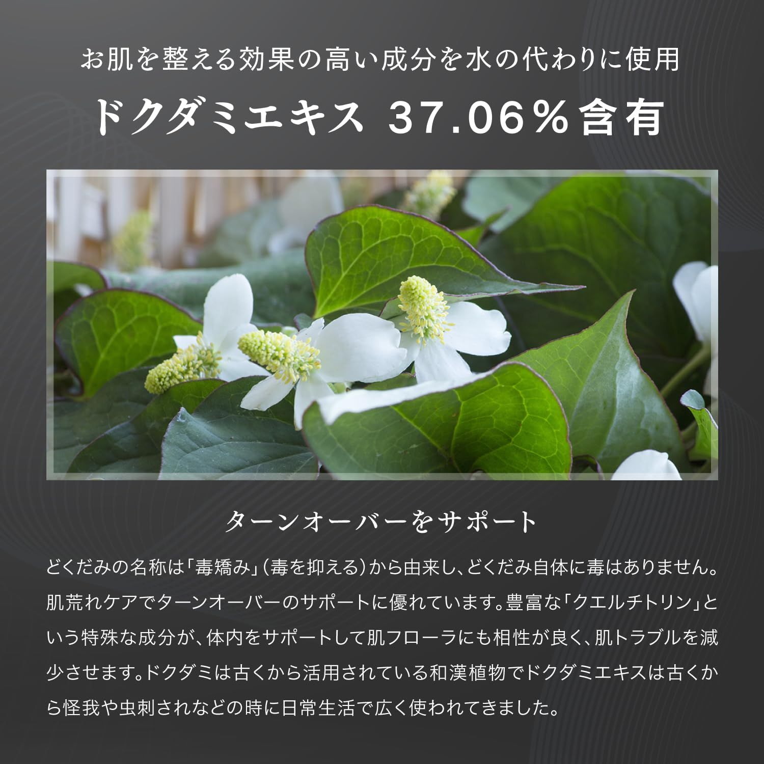 V3シャイニングファンデーション本体