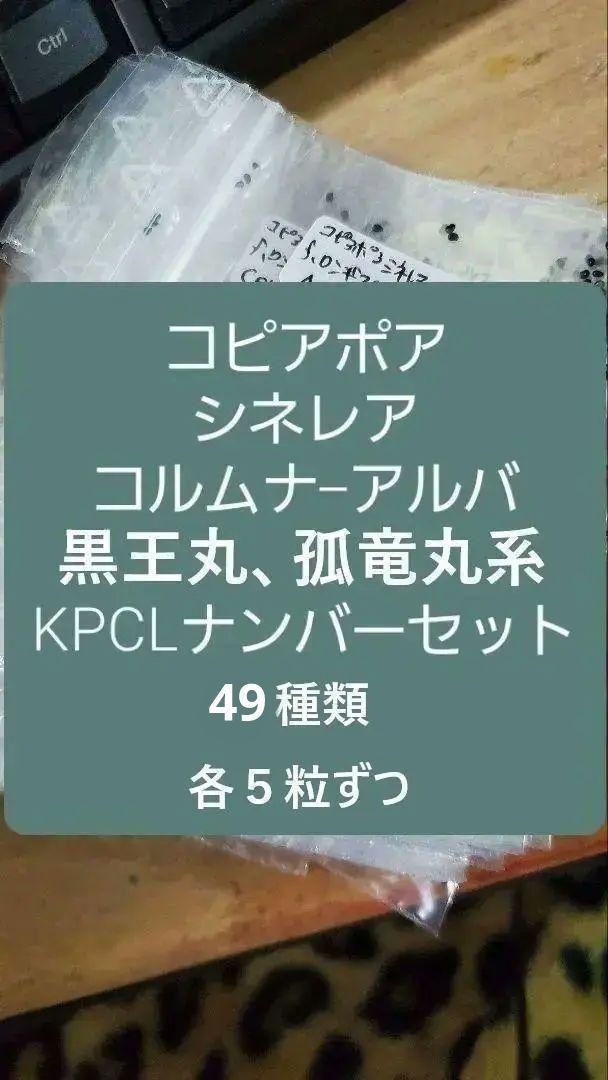 コピアポア KPCLナンバー各種 49種類セット 各5粒ずつ