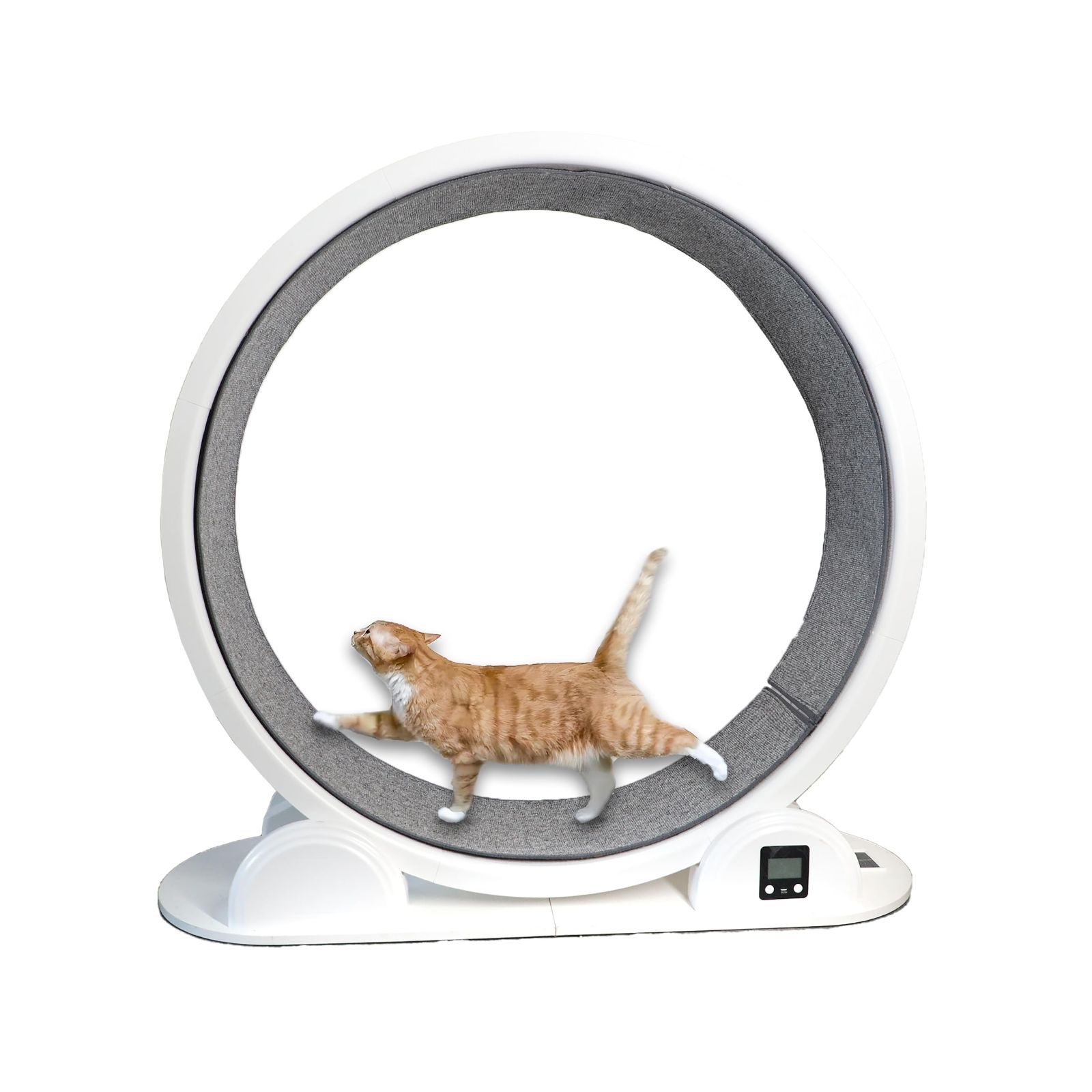 商品 キャットホイール 猫 回し車 取扱説明書付き プラスチック製 ストレスを解消 簡単組み立て 運動不足解消 直径96センチメートル ランニングマシーン