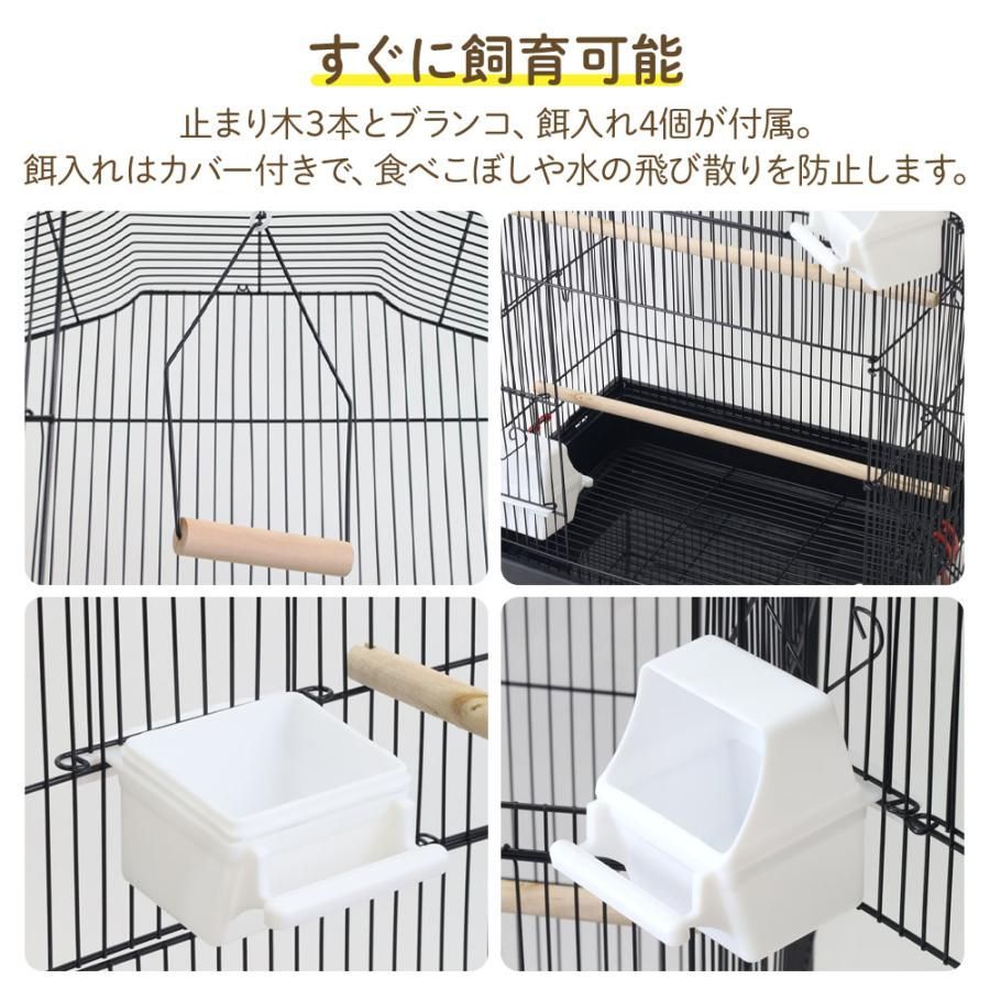 鳥