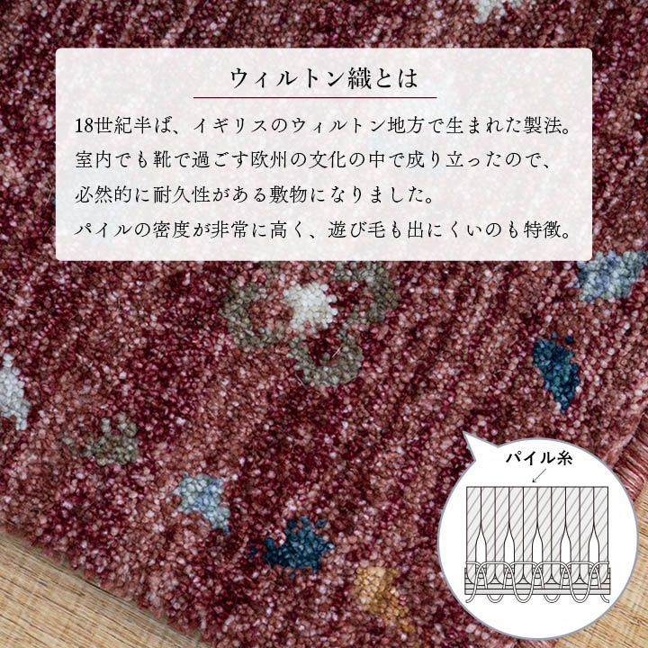 マイア